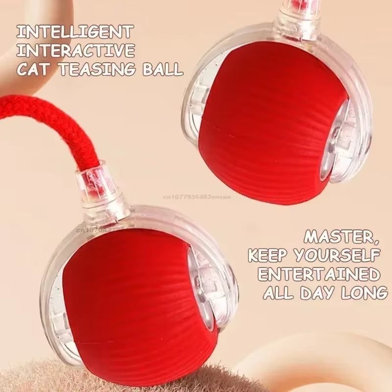 Interactive Rolling Cat Ball Dog Toy Rolling Ball for Indoor 360° Automatic Rolling Pet Ball Self Rollingball Pet Supplies