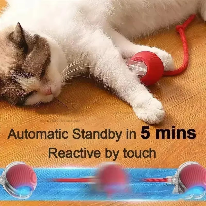 Interactive Rolling Cat Ball Dog Toy Rolling Ball for Indoor 360° Automatic Rolling Pet Ball Self Rollingball Pet Supplies